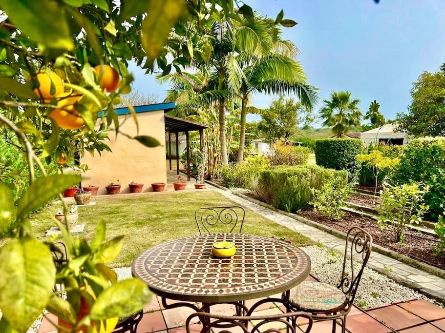 Finca Tierra Sana Estepona Buitenkant foto