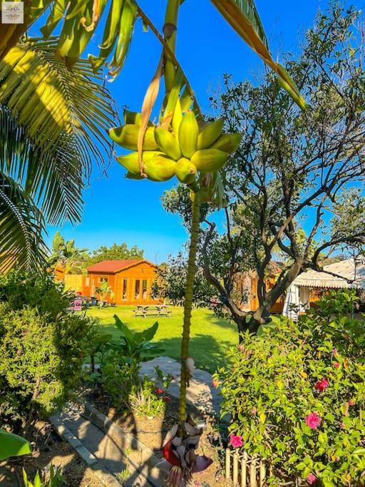 Finca Tierra Sana Estepona Buitenkant foto